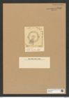 Coscinodiscus fasciculatus O'Meara (de-Toni-Nr.: Genus 202, Species 4934) Zeichnungen Sammlung Grunow Nr. 8516 (NHMW-BOT-W0378139)
